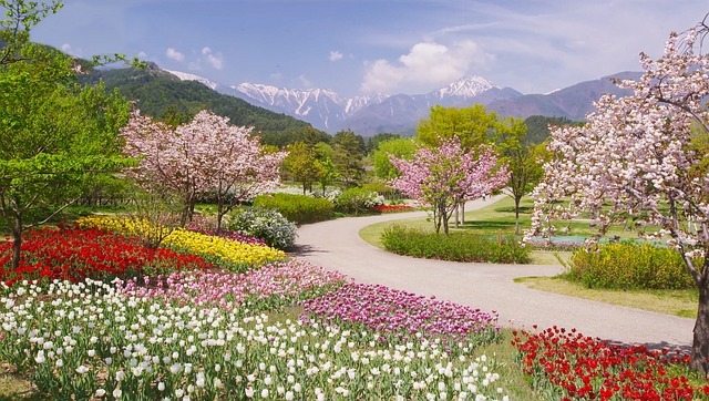 Frühling Frühling